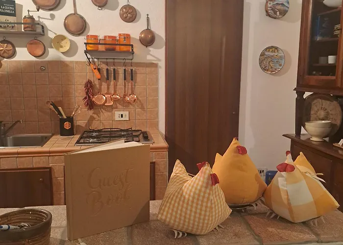 Casa Dodo